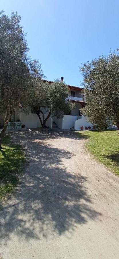 House Eugenia Sarti Apartamento Exterior foto